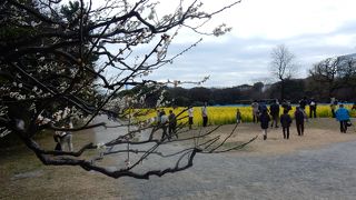 見どころの一つ