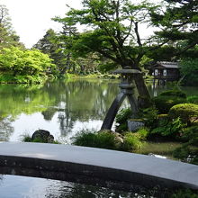 橋、灯篭、池の３点セットが兼六園のシンボルですね