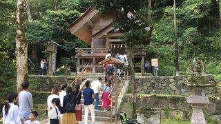 御本殿の真裏にあります