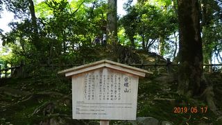 個人的には兼六園のイメージに合わないものの一つです。