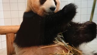 やっぱり最高！