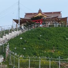 工事中の神社です