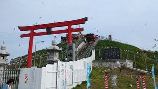 ウミネコと蕪島神社で有名だが神社は工事中でした