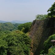 第3弾日本最強の城に選ばれた岡城阯!!