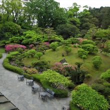 ２階和室から見た庭
