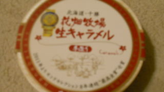 お土産でいただきました