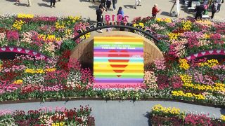 真夏日のチューリップフェア