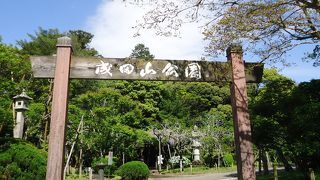 緑豊かな美しい公園