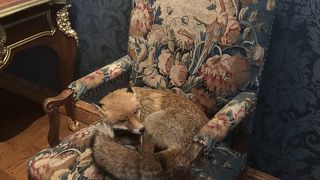 お子さまも楽しめる博物館