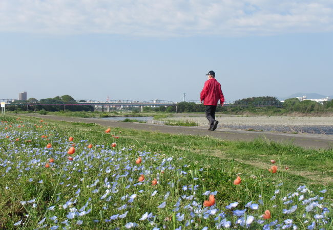 相模川河川敷の広々とした公園