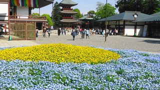 素晴らしく見応えがありました