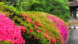 さまざまな御朱印がいただける鎌倉五山第一