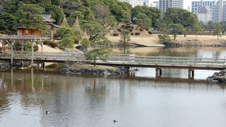 潮入りの池にかかる橋