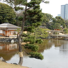 画面の左側に続く道の途中にある