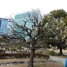 このずっと奥にある