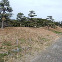 写真の右奥（の延長上）