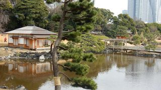 ふとしたところに