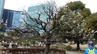 ２つ目のいりぐち