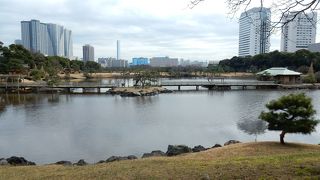 潮入りの池を分ける橋