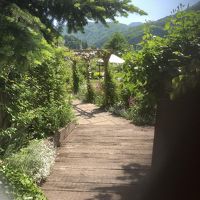 イングリッシュガーデン