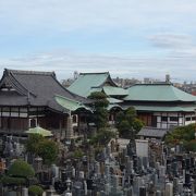 広い敷地を持つ古いお寺