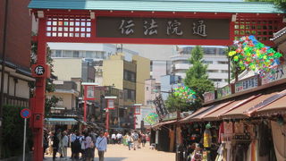 楽しく歩けます