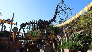 水をかぶる量がすごい