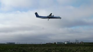 頑張って歩いて来ました