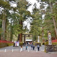 杉が多い山なので花粉症の方は対策を。