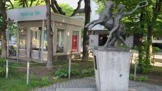 躍動感ある表情をしています