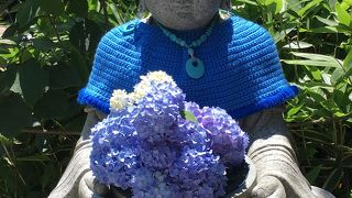 見事な明月院ブルー