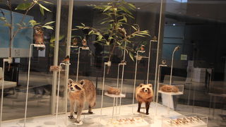 展示室は無料で見学出来ます