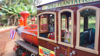 ドールプランテーション内