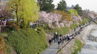とにかく人が多い