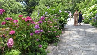 ゆるやかな坂道を上ります