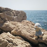 岩場近くを散策