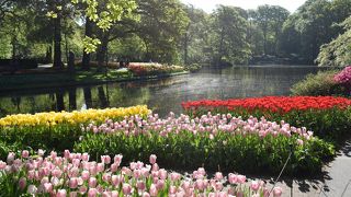 一度は行くべきです