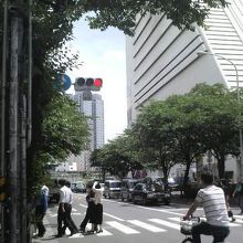 初夏らしく緑の並木が並んでいました