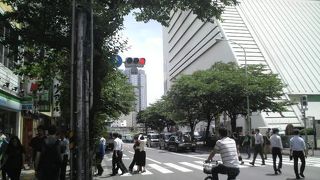 初夏らしく緑の並木が並んでいて涼しげでした