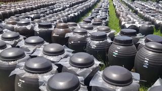 美味しい黒酢が食べられる。