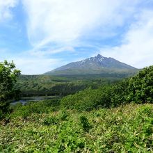 お菓子のパッケージの撮影地からは沼が見えにくい。