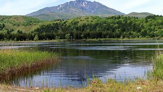 沼は海鳥の天国でした。