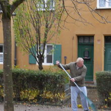 フッゲライの住人