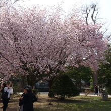 くつろぐ人より写真撮影が目的の人の方が多かった感じ！