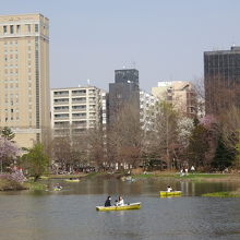 まさに都会のオアシス！ボートはカップルが多いです。