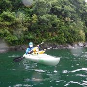 四万十川カヌーは四国旅行一番の思い出に！