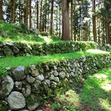 険しい山城ですが、遺構はすばらしい