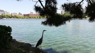 水辺に座ってゆっくりできます