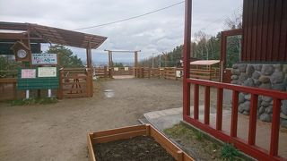 小動物と触れ合える