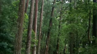 雨なのか水しぶきなのか